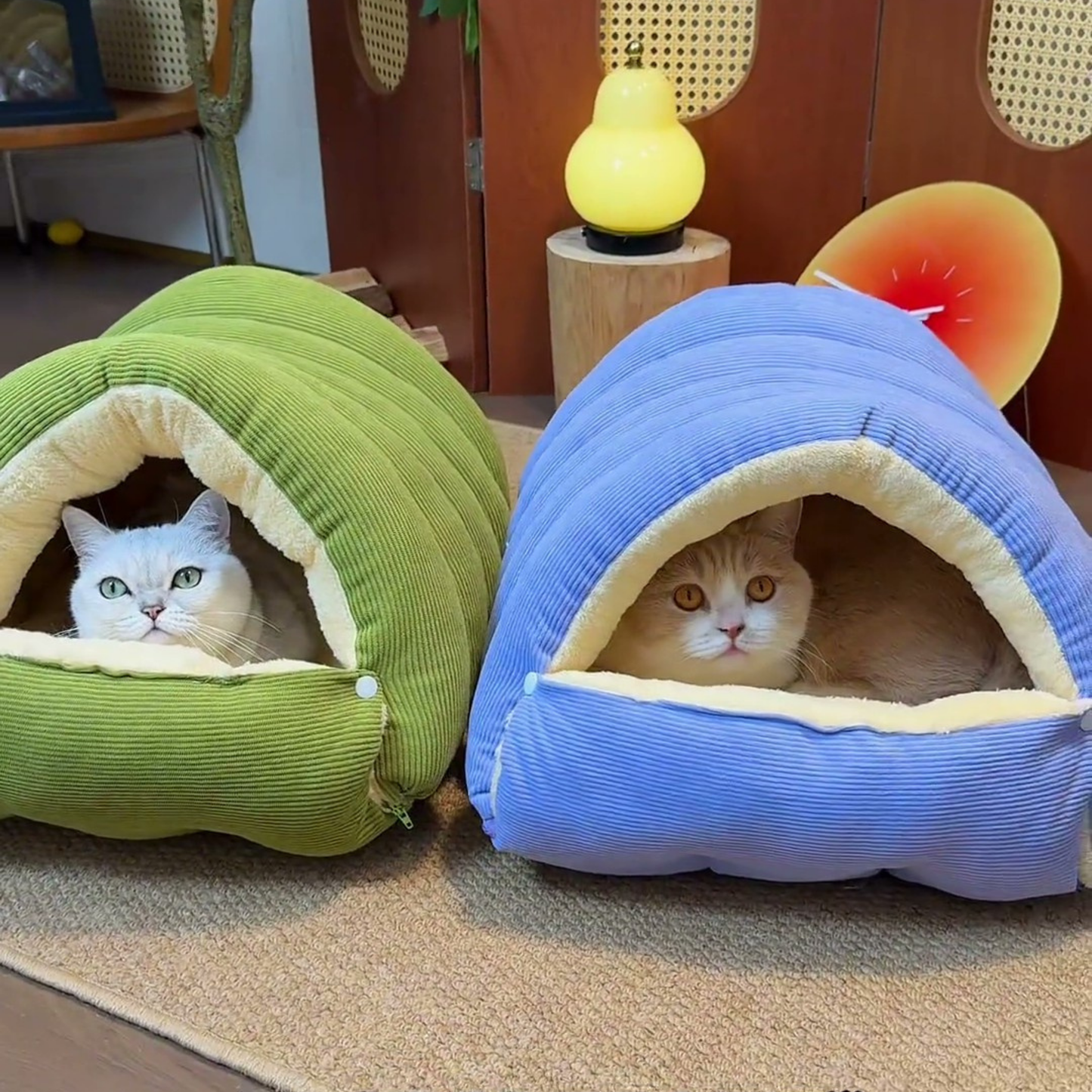 Chewie Viral Cat Cave