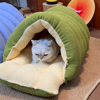 Chewie Viral Cat Cave