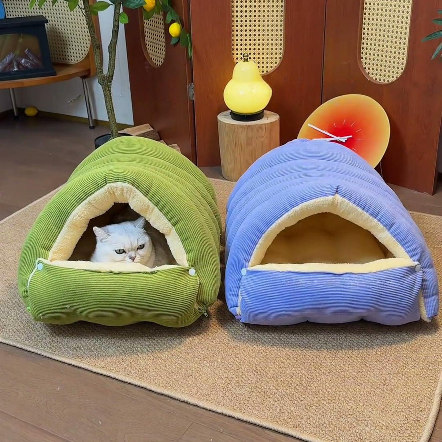 Chewie Viral Cat Cave