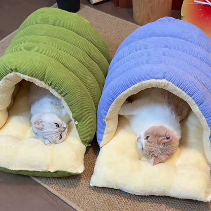 Chewie Viral Cat Cave