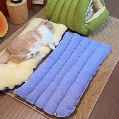 Chewie Viral Cat Cave