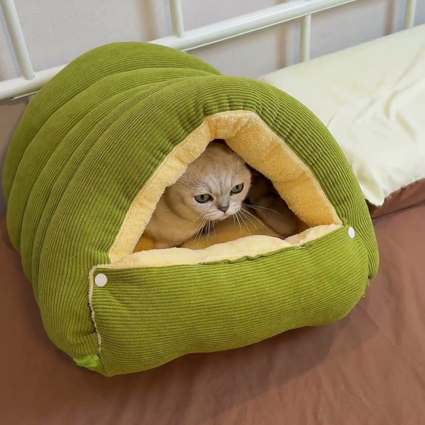 Chewie Viral Cat Cave