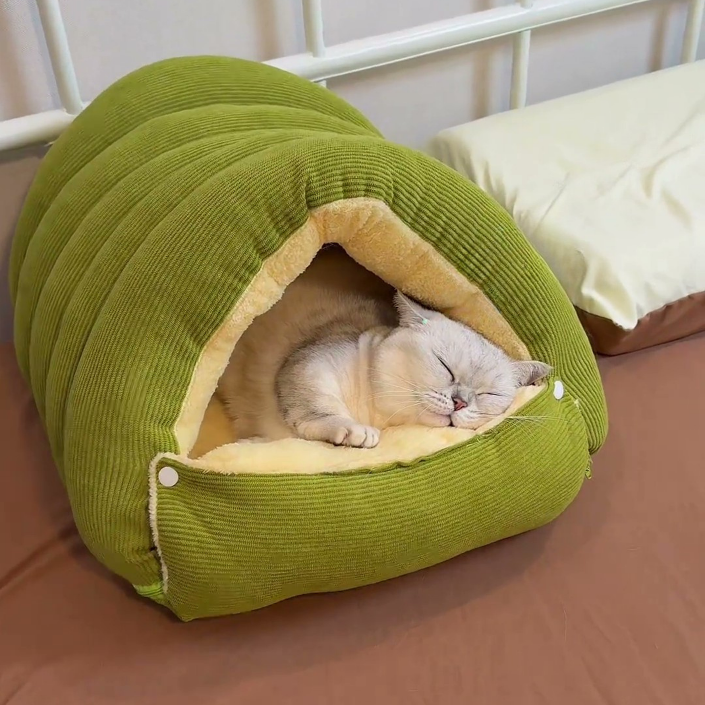 Chewie Viral Cat Cave