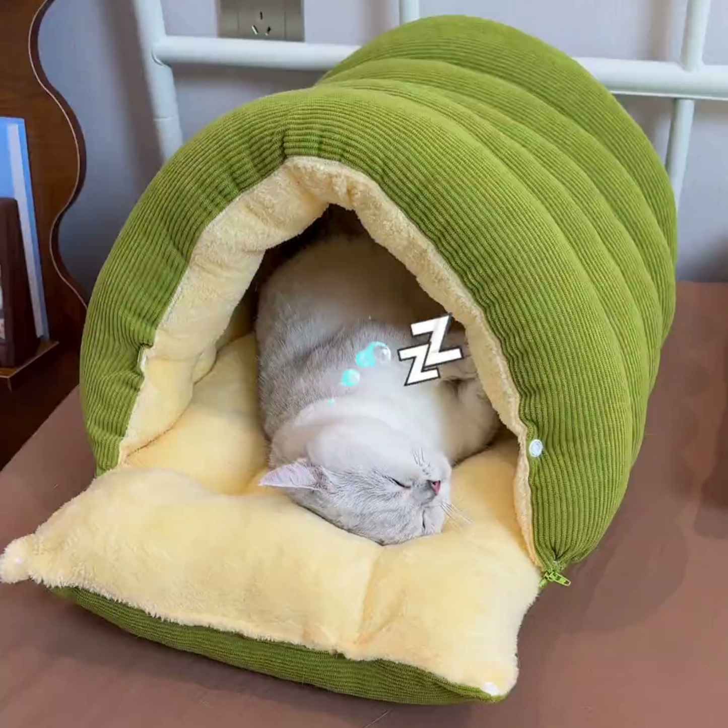 Chewie Viral Cat Cave