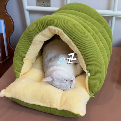 Chewie Viral Cat Cave