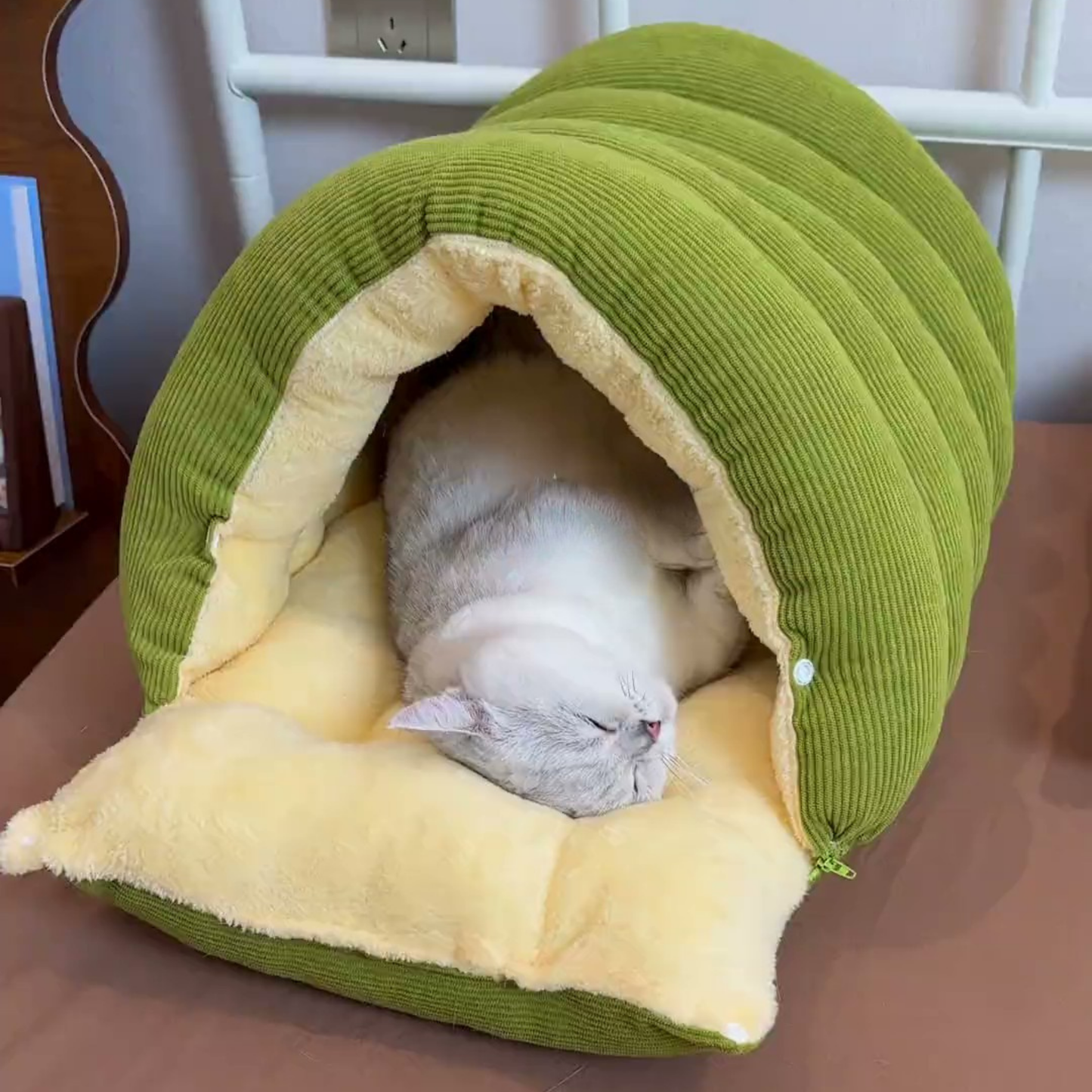 Chewie Viral Cat Cave