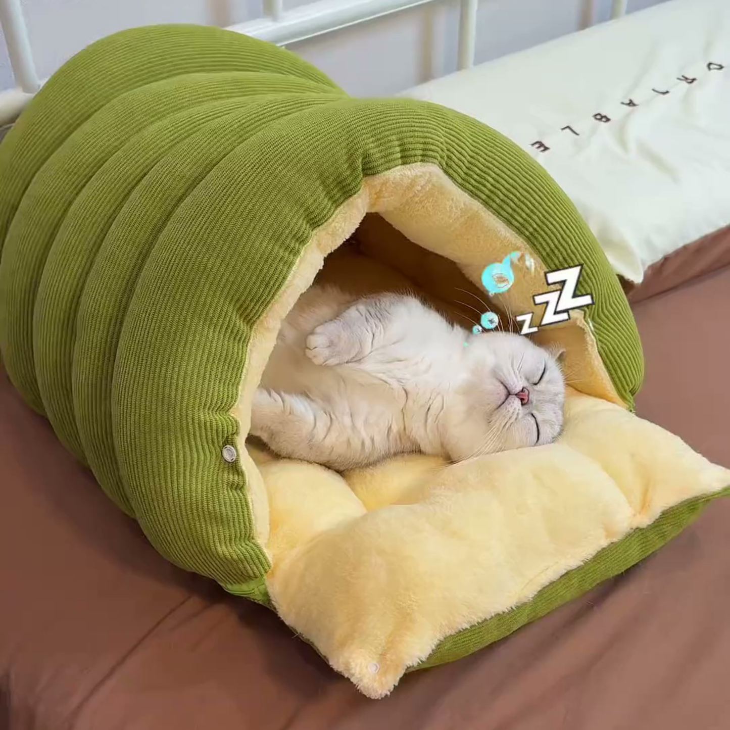 Chewie Viral Cat Cave