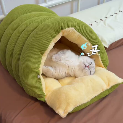 Chewie Viral Cat Cave