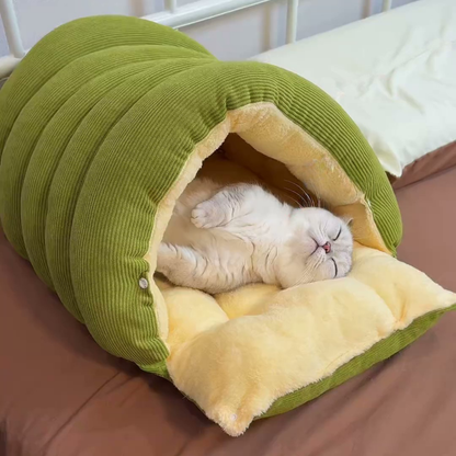 Chewie Viral Cat Cave