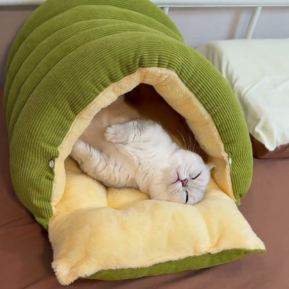 Chewie Viral Cat Cave