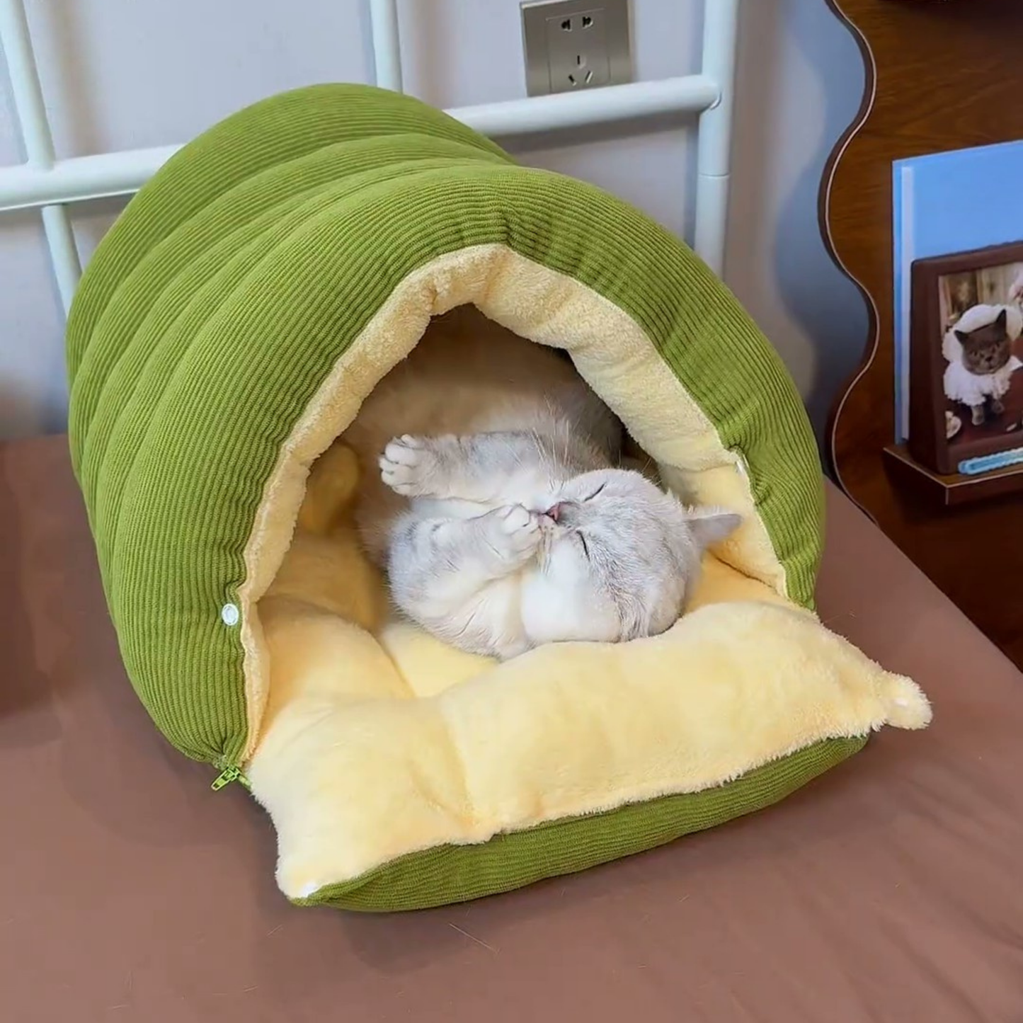 Chewie Viral Cat Cave