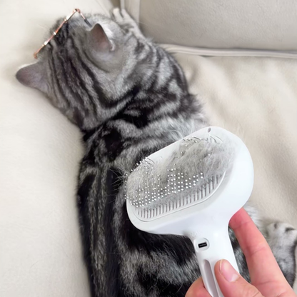 Chewie Viral Steam Brush