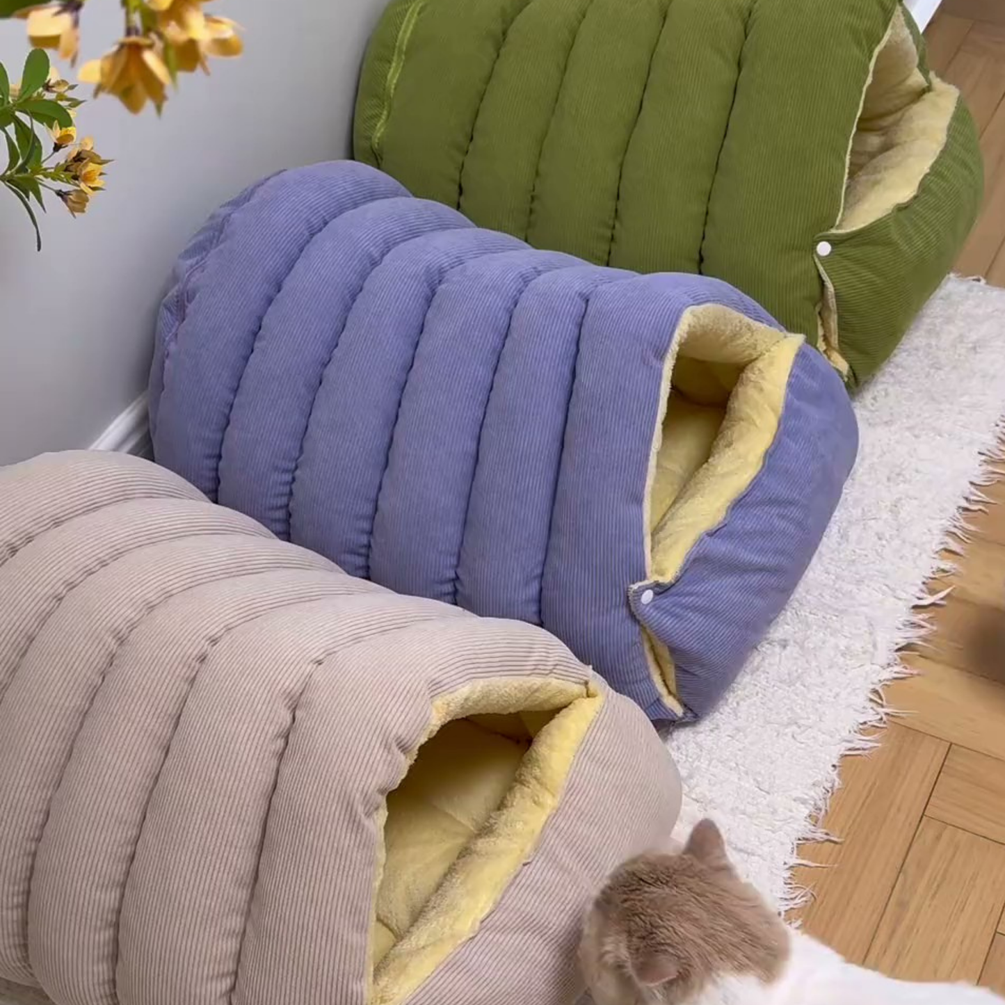 Chewie Viral Cat Cave