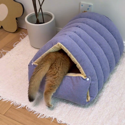 Chewie Viral Cat Cave