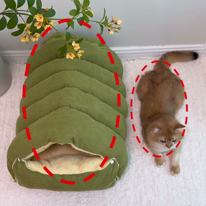 Chewie Viral Cat Cave