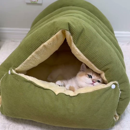 Chewie Viral Cat Cave