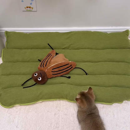 Chewie Viral Cat Cave