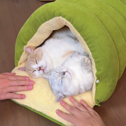 Chewie Viral Cat Cave