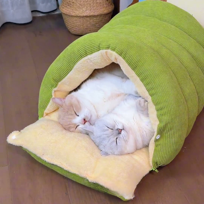 Chewie Viral Cat Cave