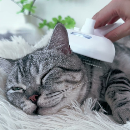 Chewie Viral Steam Brush