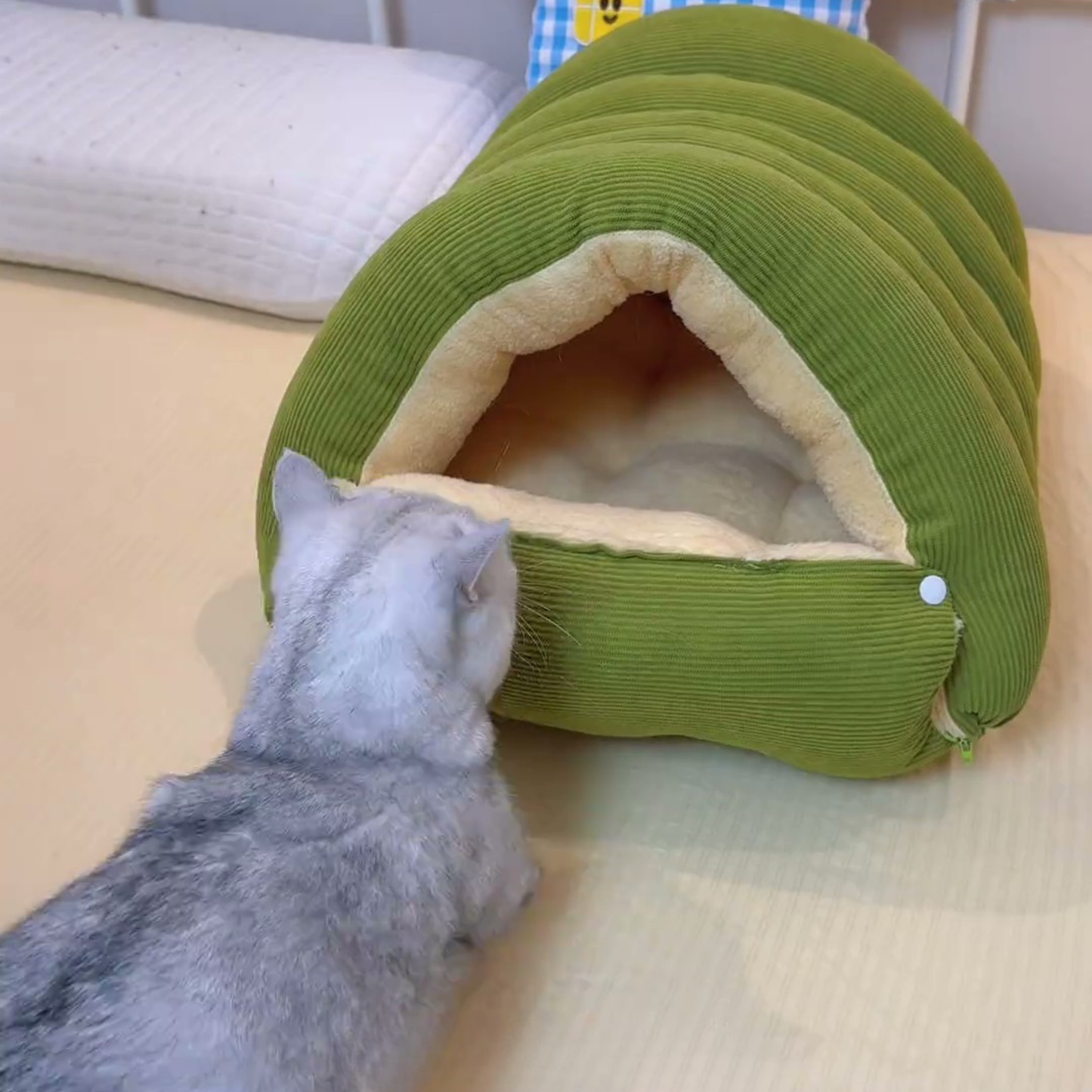 Chewie Viral Cat Cave