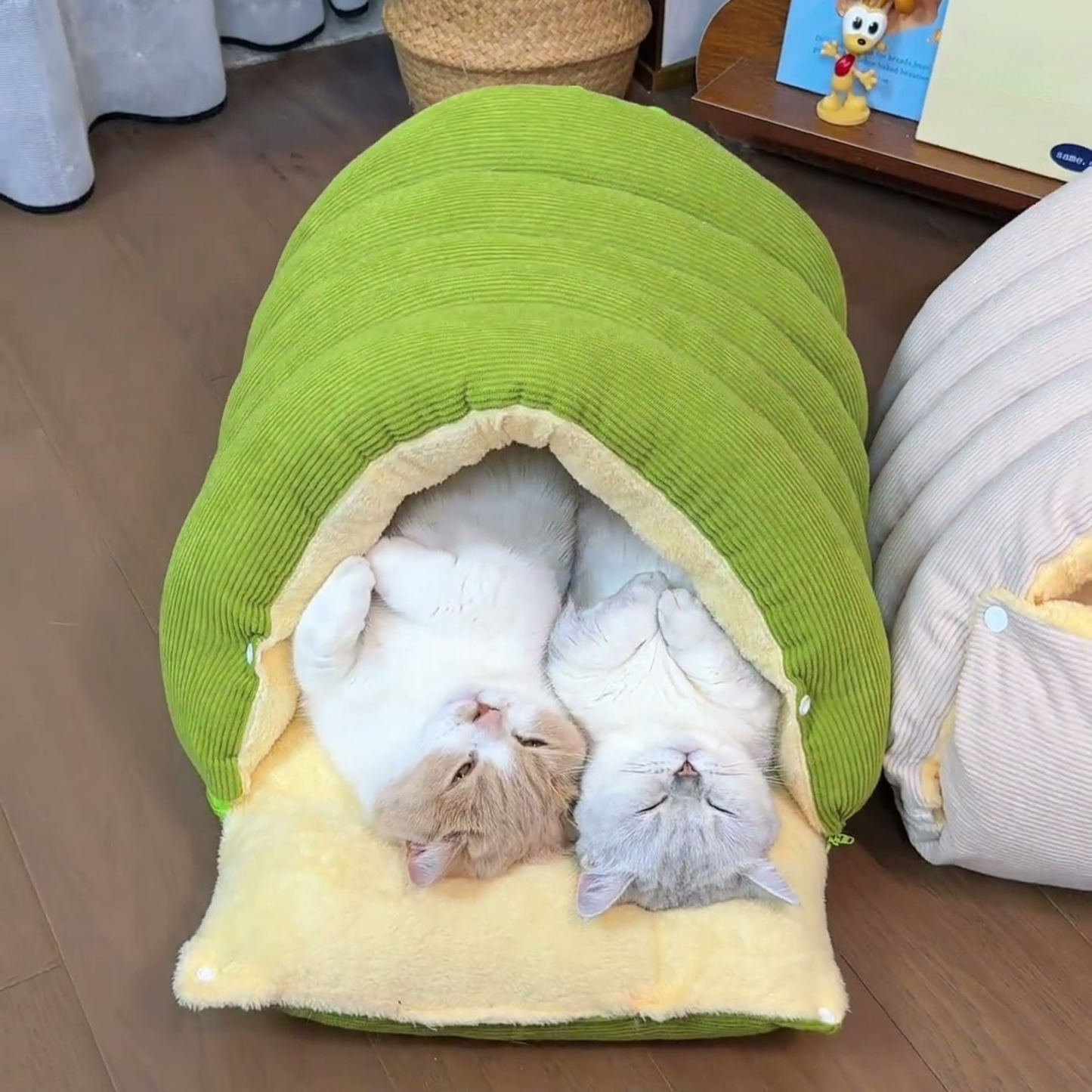 Chewie Viral Cat Cave