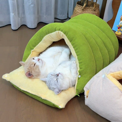 Chewie Viral Cat Cave