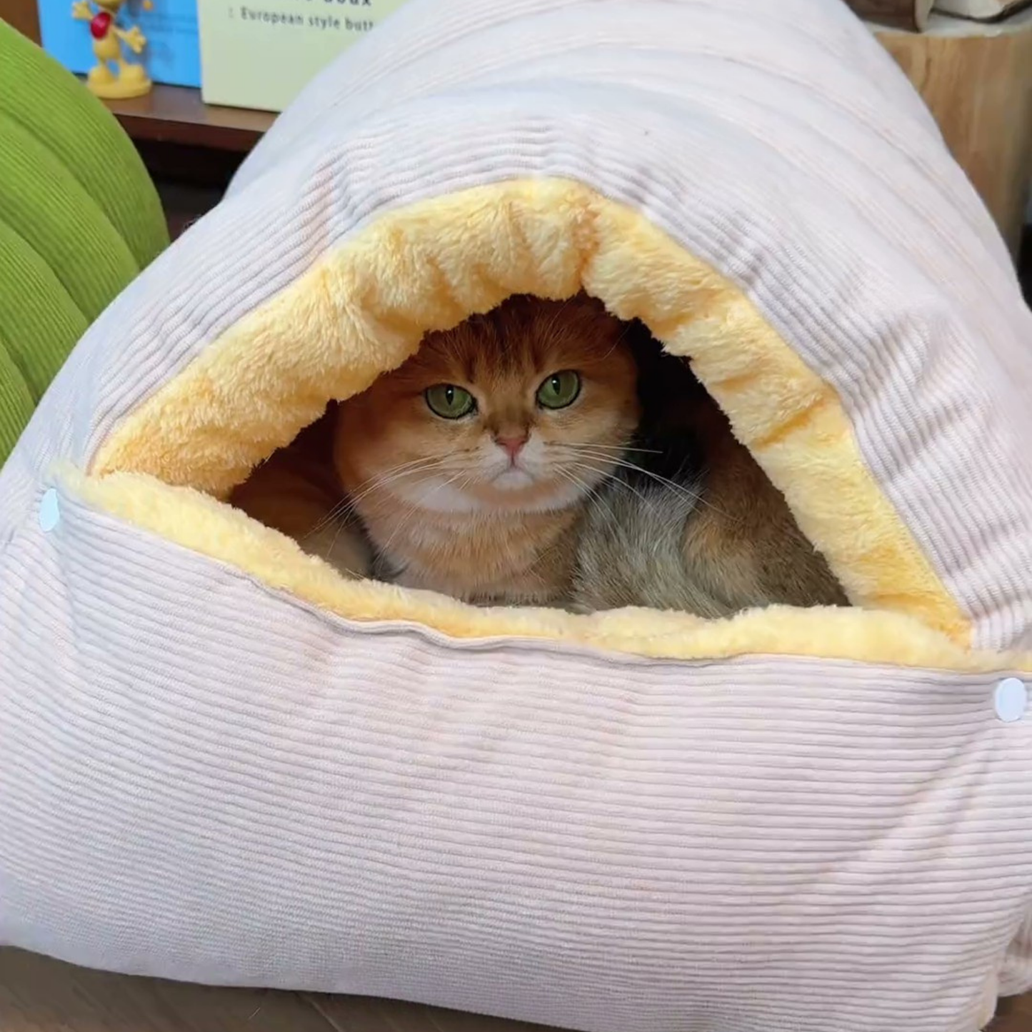Chewie Viral Cat Cave