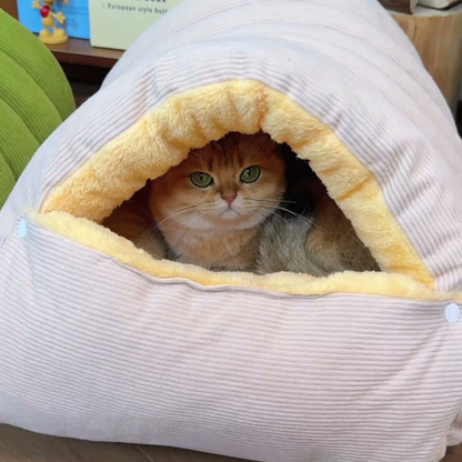 Chewie Viral Cat Cave