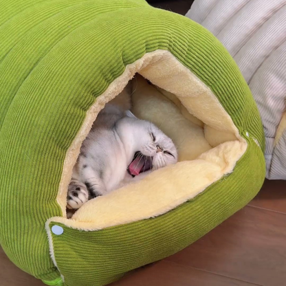 Chewie Viral Cat Cave