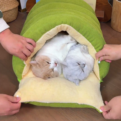 Chewie Viral Cat Cave