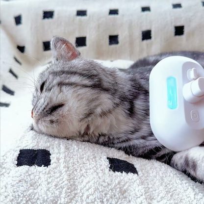 Chewie Viral Steam Brush