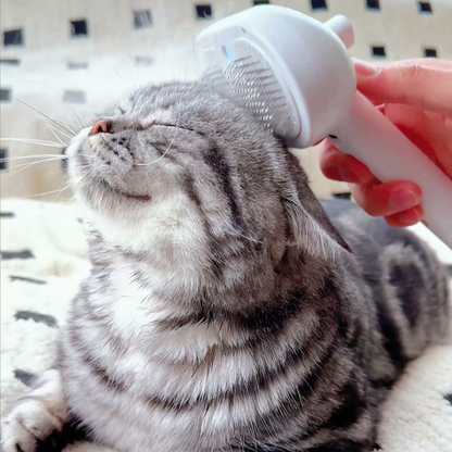 Chewie Viral Steam Brush