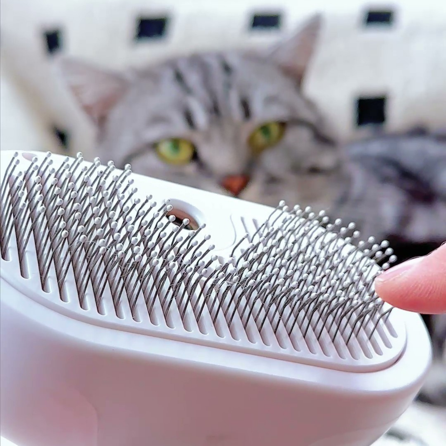 Chewie Viral Steam Brush