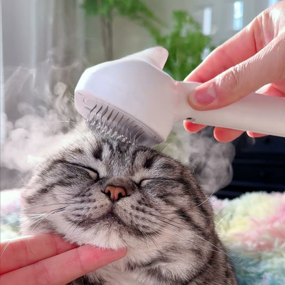 Chewie Viral Steam Brush