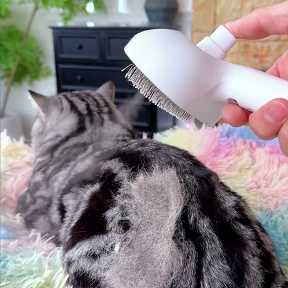 Chewie Viral Steam Brush